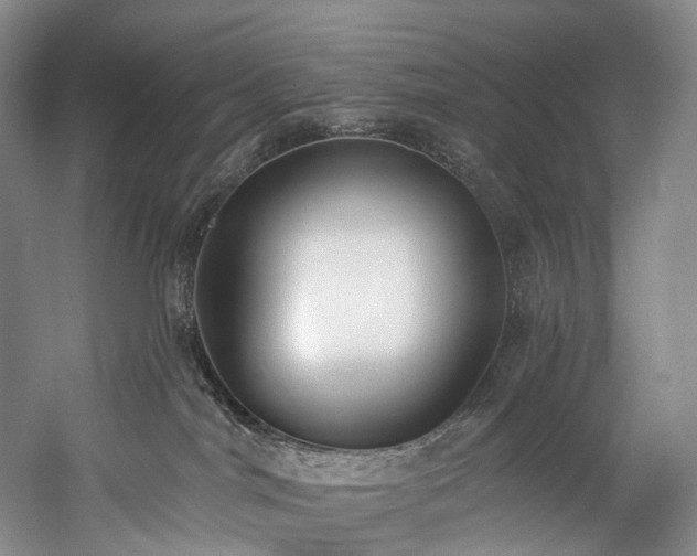 X0000060270044200510281243
