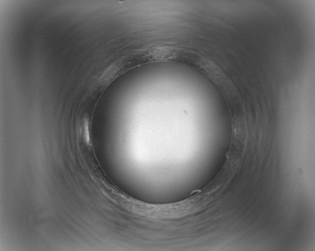 X0000060270046200510281243