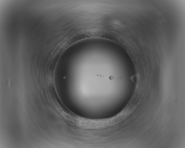 X0000060270048200510281243