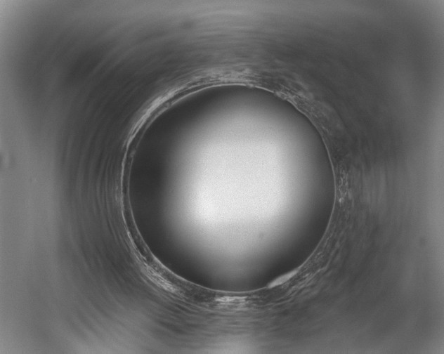X0000060270052200510281242