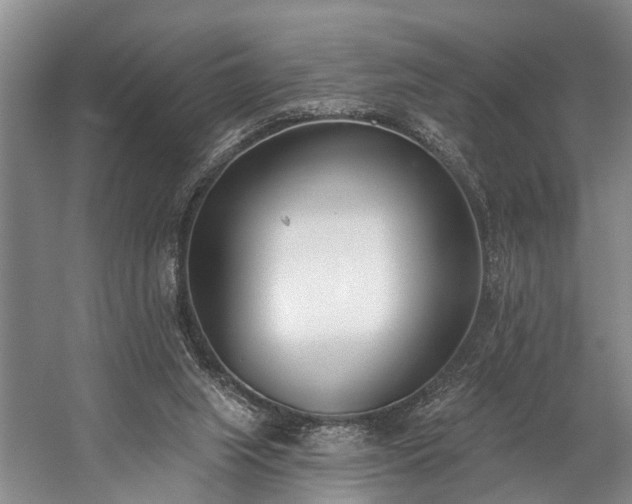 X0000060270063200510281242