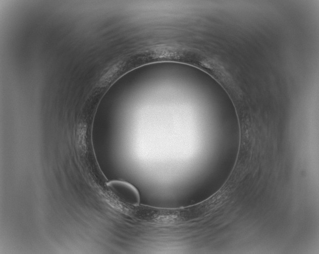 X0000060270066200510281243