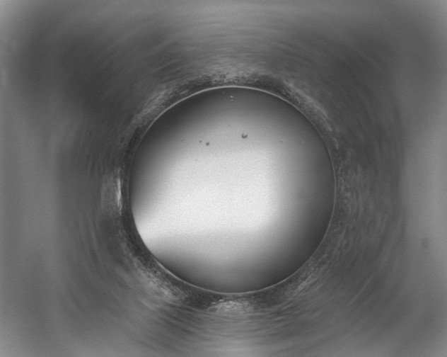 X0000060270067200510281243