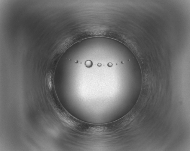X0000060270069200510281243
