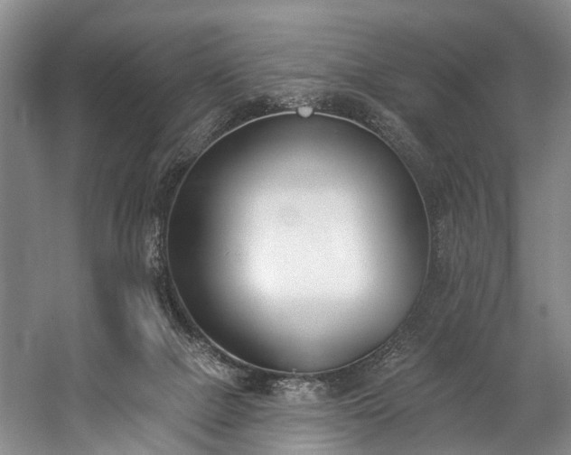 X0000060270073200510281243