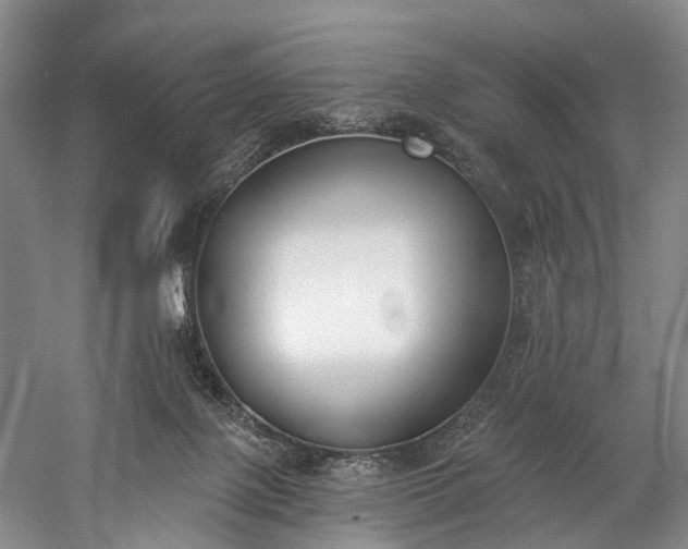 X0000060270075200510281243