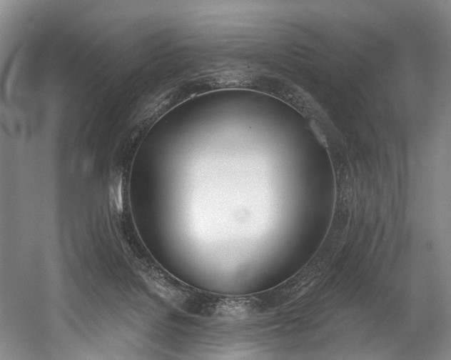 X0000060270076200510281243