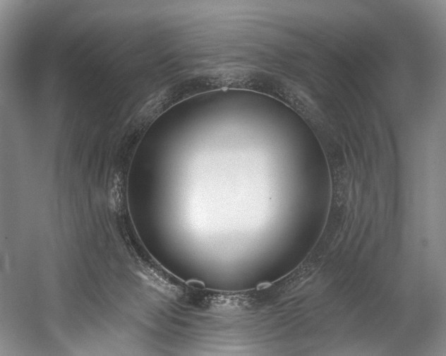 X0000060270077200510281243