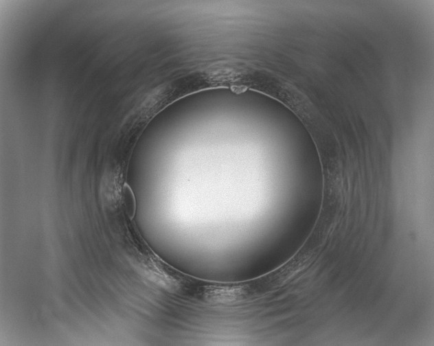 X0000060270081200510281243