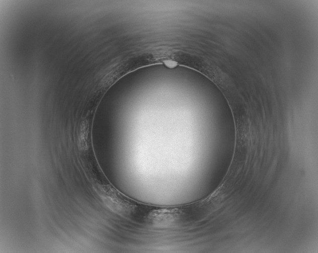 X0000060270082200510281243