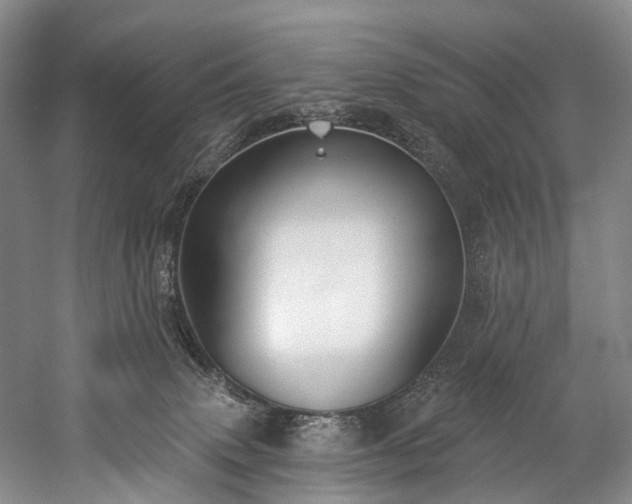 X0000060270083200510281243