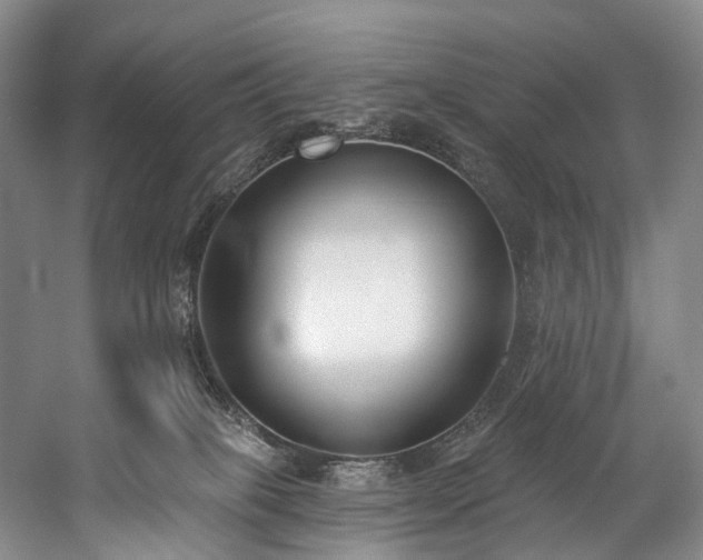 X0000060270085200510281243