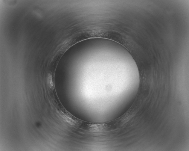 X0000060270089200510281243