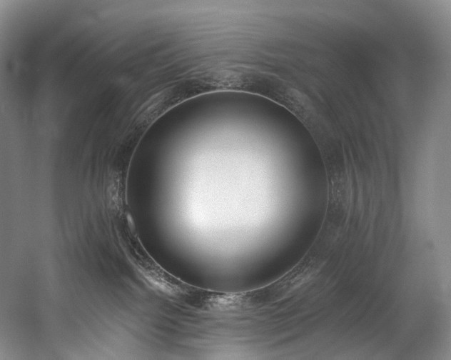 X0000060270092200510281243