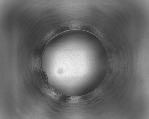 X0000060270093200510281243