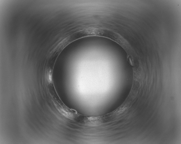X0000060270095200510281243