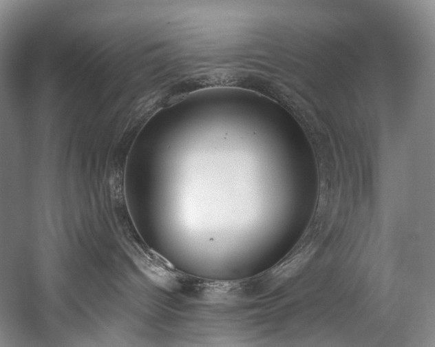 X0000060270096200510281243