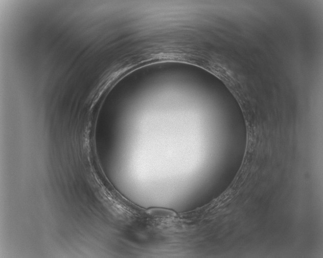 X0000060270098200510281242