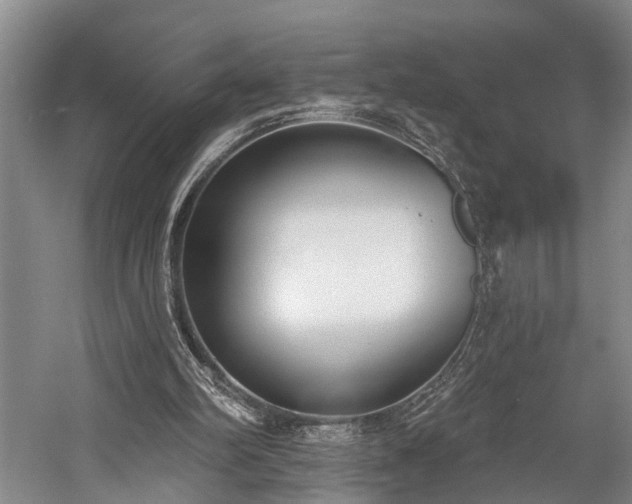 X0000060270102200510281242