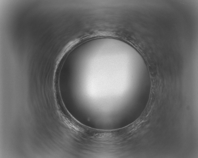 X0000060270104200510281242