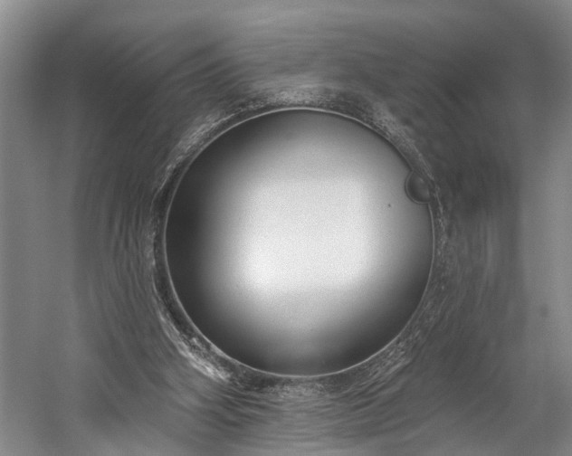X0000060270106200510281242