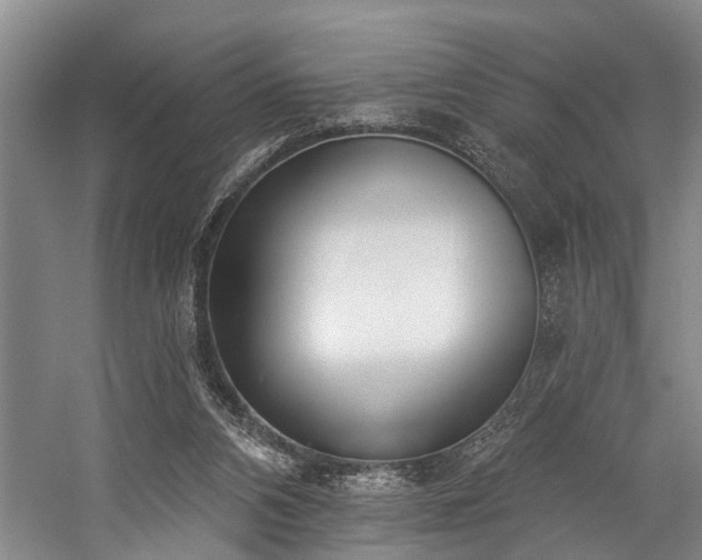 X0000060270112200510281242