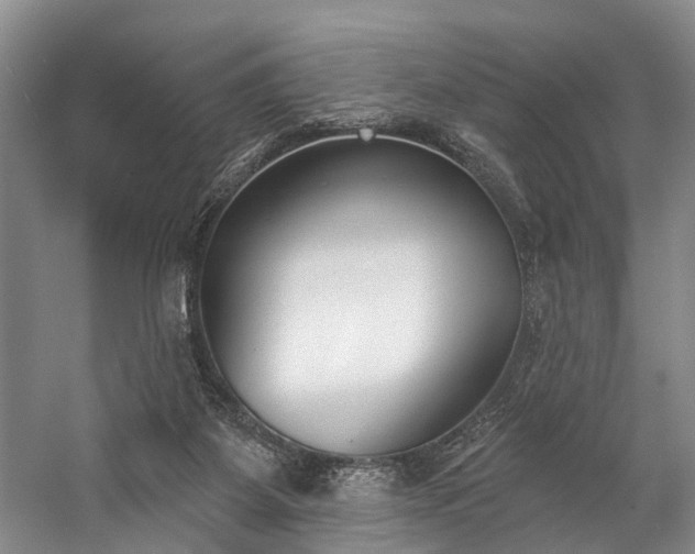 X0000060270115200510281242