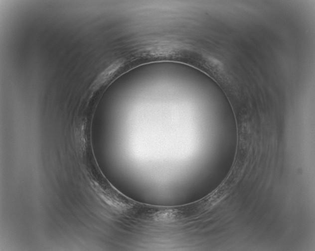 X0000060270116200510281242