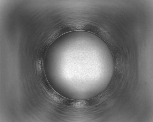 X0000060270122200510281242