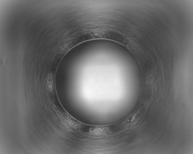 X0000060270129200510281242