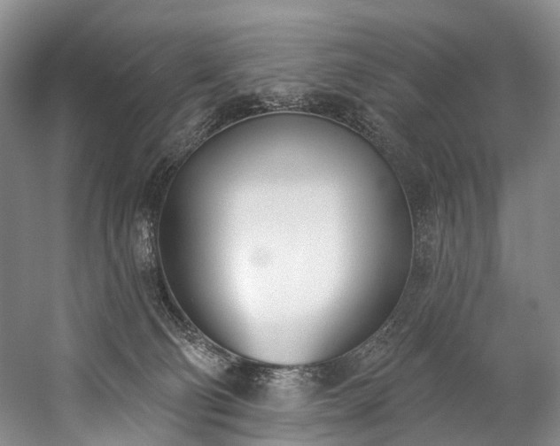 X0000060270130200510281242