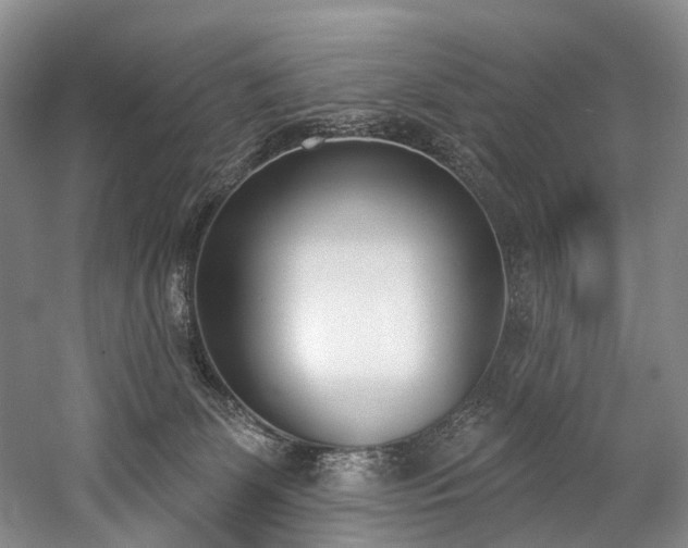 X0000060270131200510281242