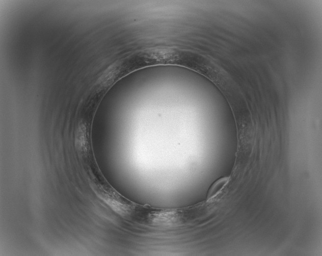 X0000060270132200510281242