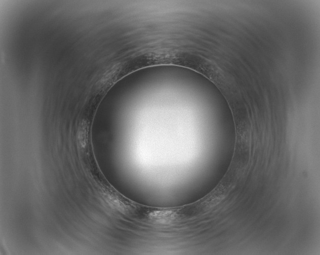 X0000060270133200510281242