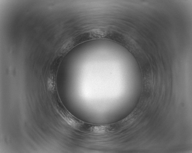 X0000060270134200510281242