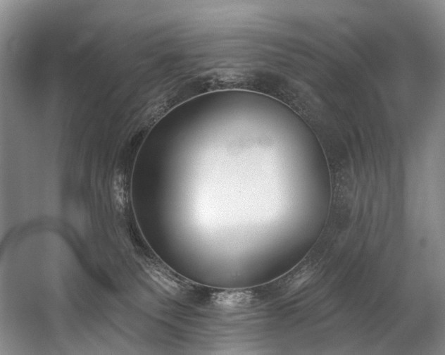 X0000060270135200510281242