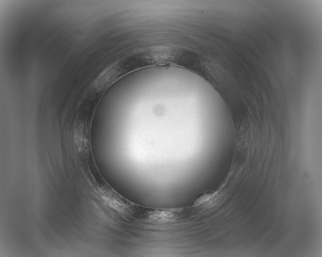 X0000060270140200510281242