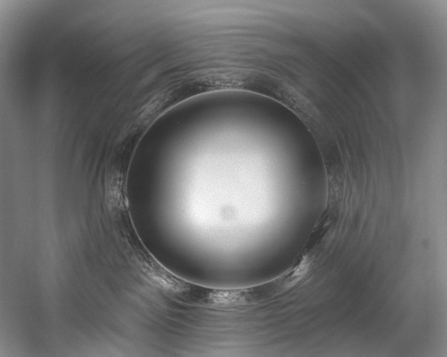 X0000060270141200510281241
