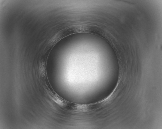 X0000060270144200510281241