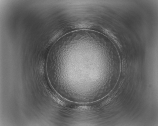 X0000060270153200510281241