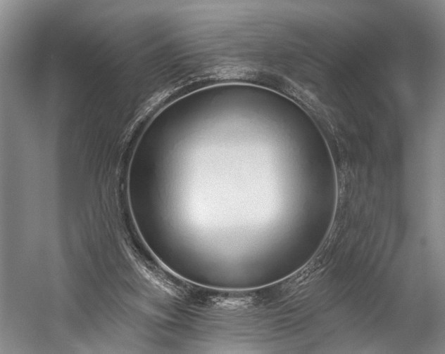 X0000060270155200510281241