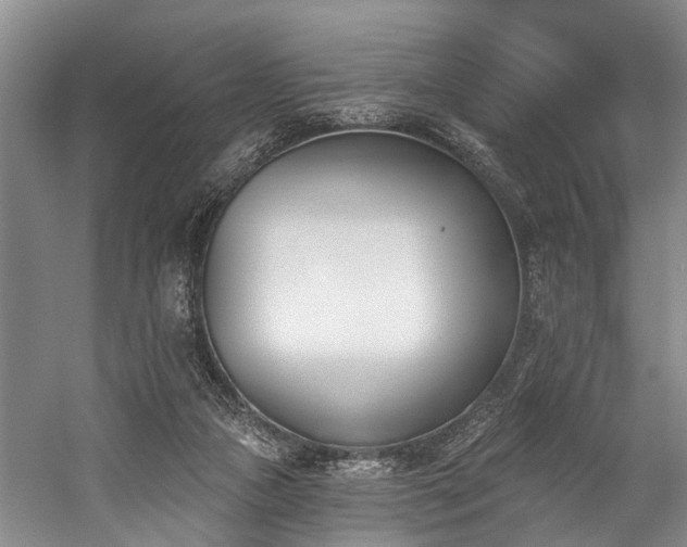 X0000060270161200510281241