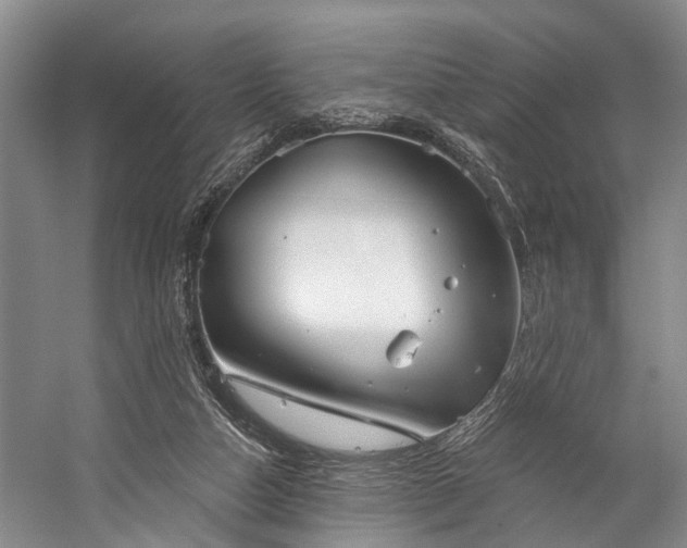 X0000060270162200510281241