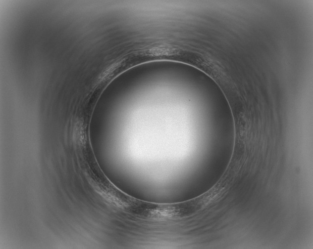 X0000060270164200510281241
