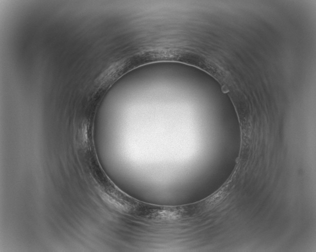 X0000060270166200510281241