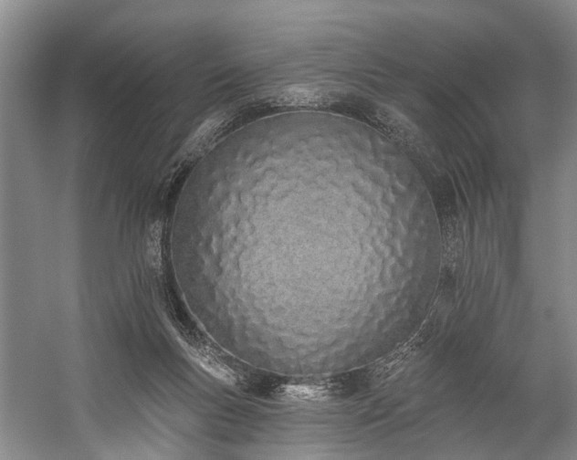 X0000060270167200510281241