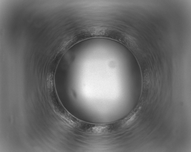 X0000060270172200510281241
