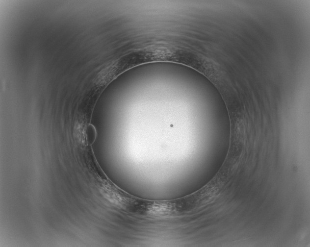 X0000060270177200510281241