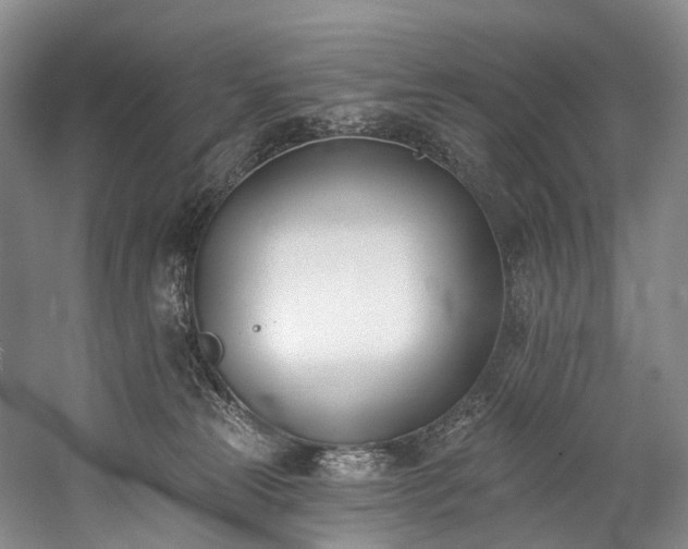 X0000060270181200510281241