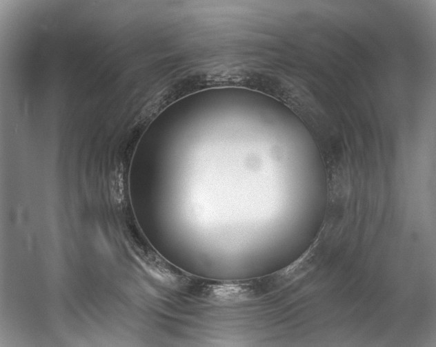X0000060270183200510281241